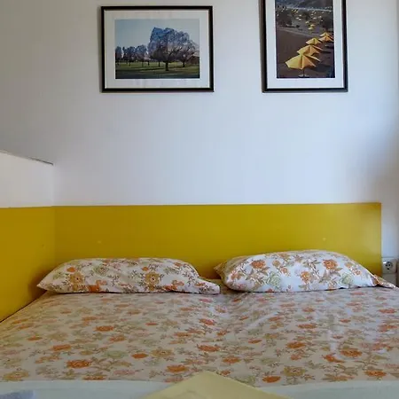 Lazarevic * Podgorica